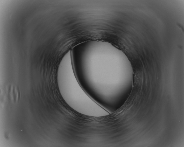 X0000093420092200710120906