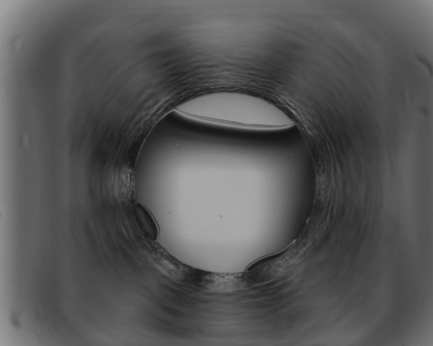 X0000093420093200710120906