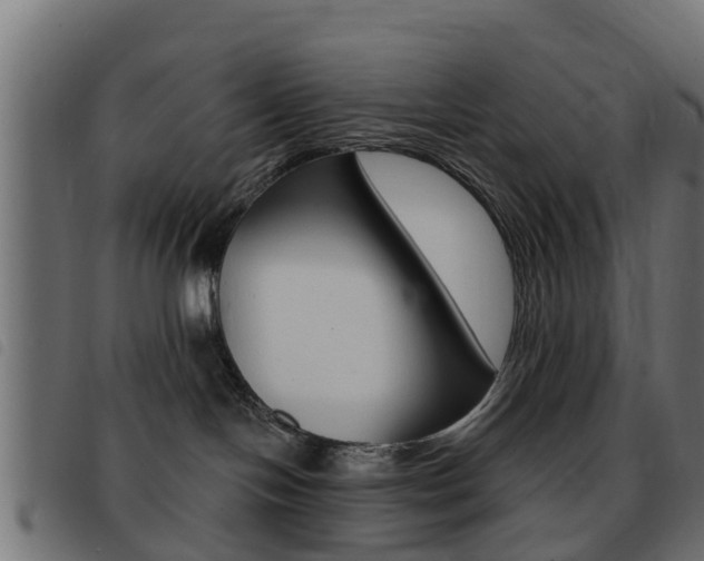 X0000093420094200710120906