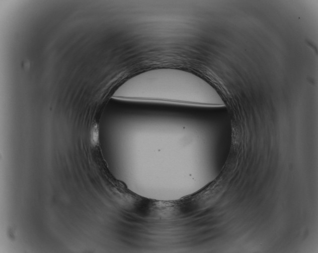 X0000093420095200710120906