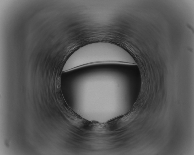 X0000093420096200710120906