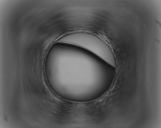 X0000093420097200710120905