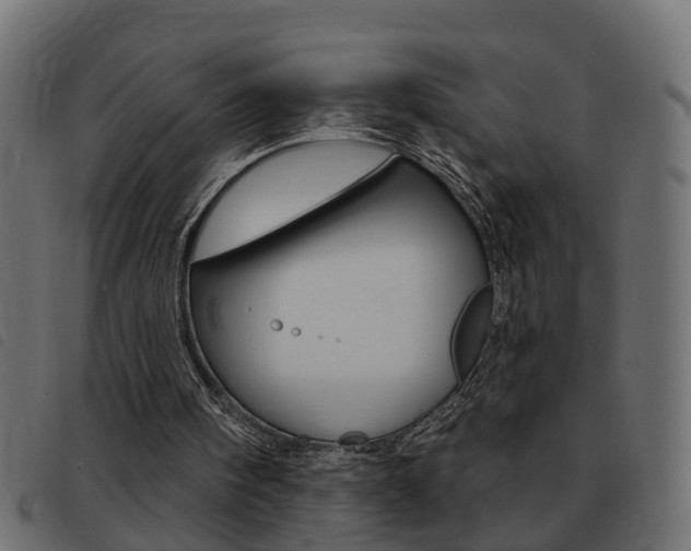 X0000093420098200710120905