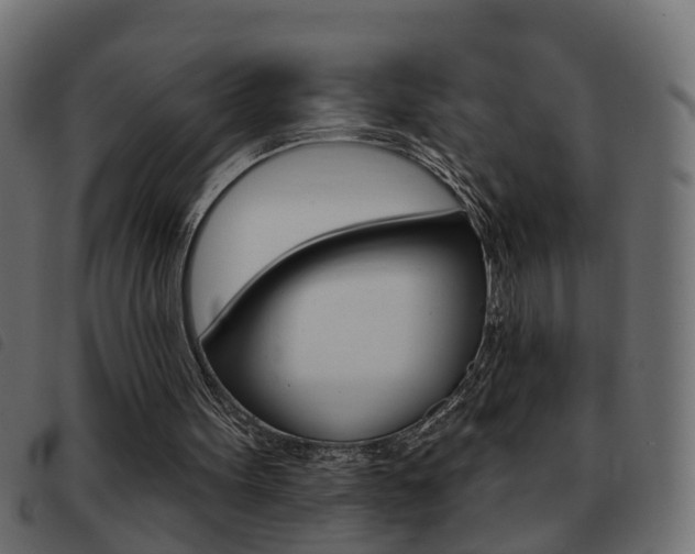 X0000093420099200710120905