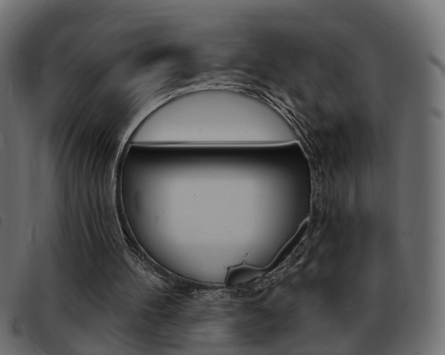 X0000093420100200710120905