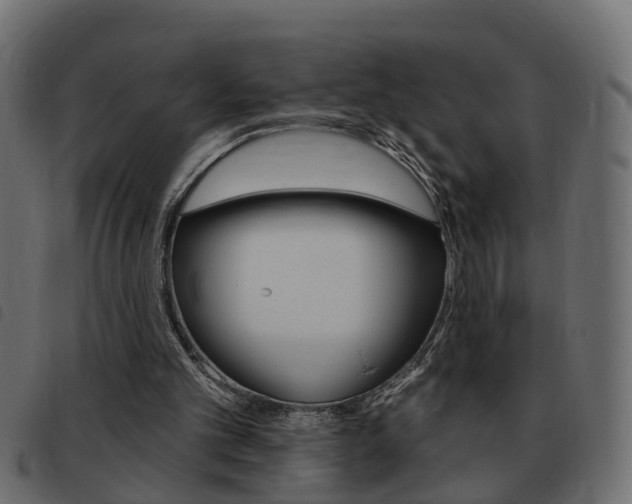 X0000093420101200710120905