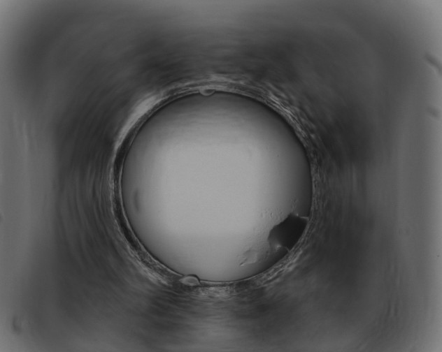 X0000093420102200710120905