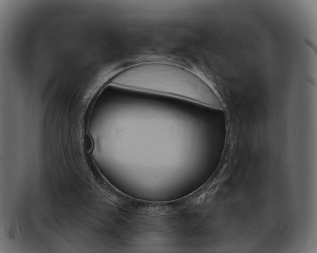 X0000093420103200710120905