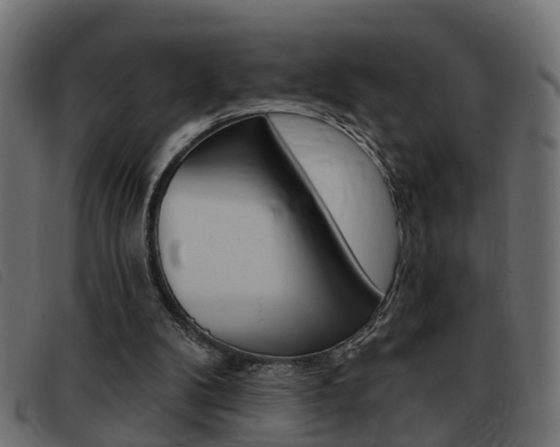 X0000093420104200710120905