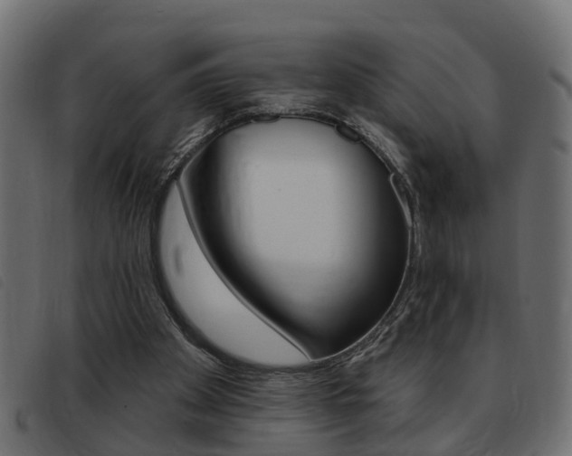 X0000093420105200710120905