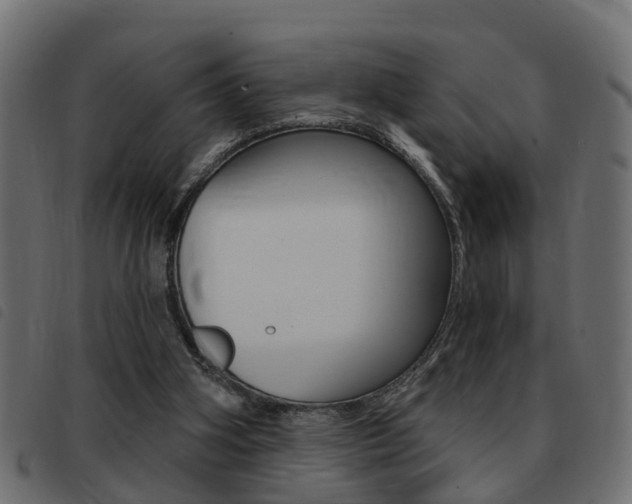 X0000093420106200710120905