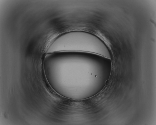 X0000093420107200710120905