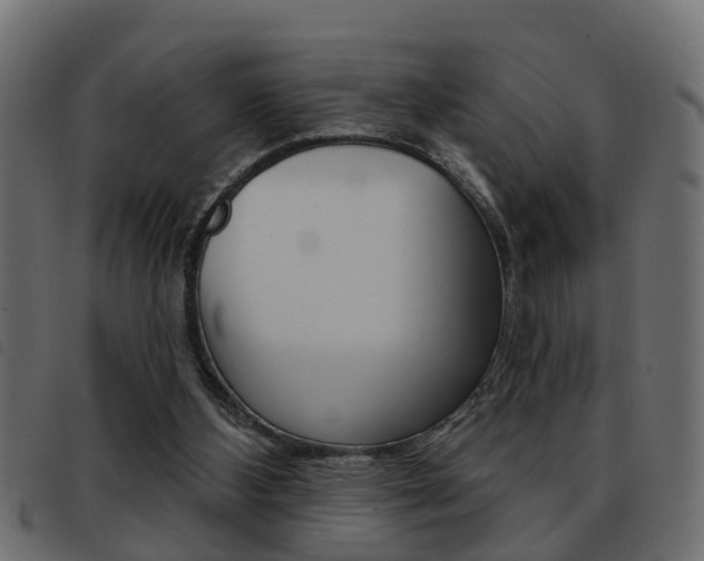 X0000093420108200710120905