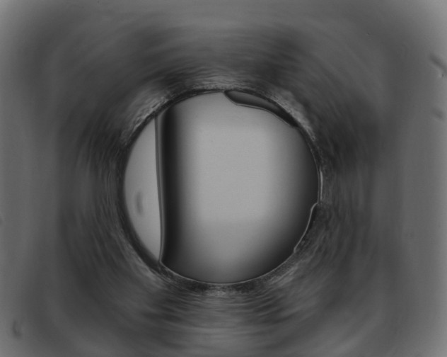 X0000093420109200710120905