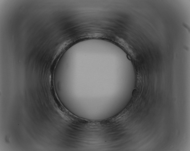 X0000093420110200710120905