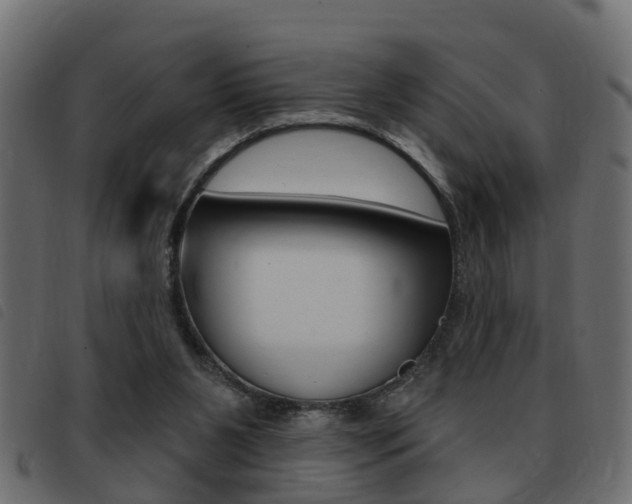 X0000093420111200710120905