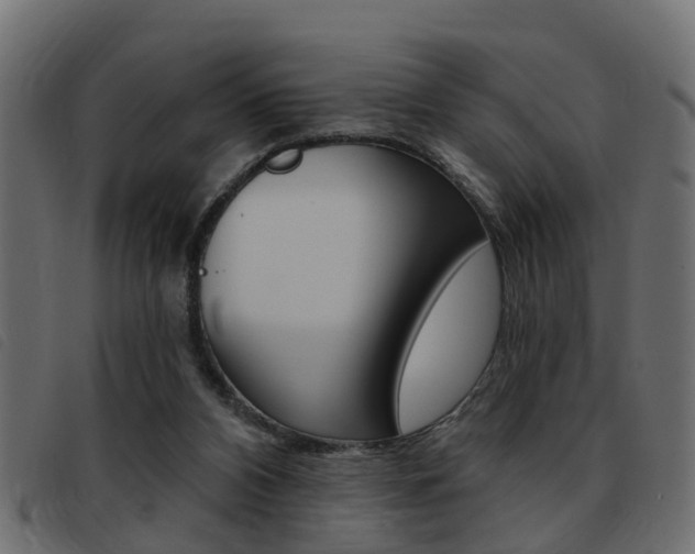 X0000093420112200710120905