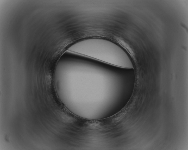 X0000093420113200710120905