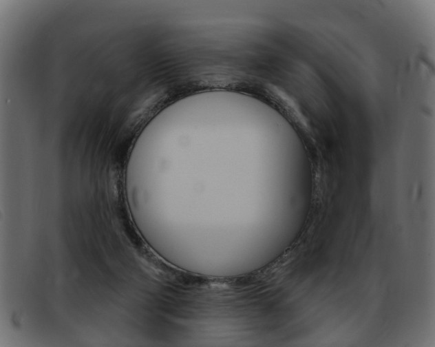 X0000093420114200710120905