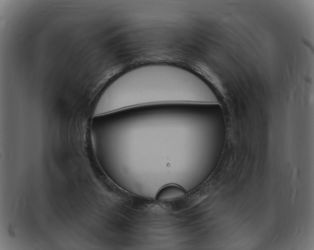 X0000093420115200710120905