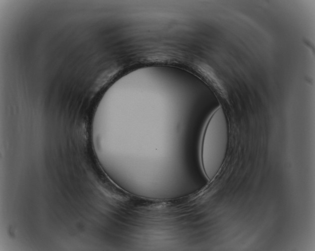 X0000093420116200710120905