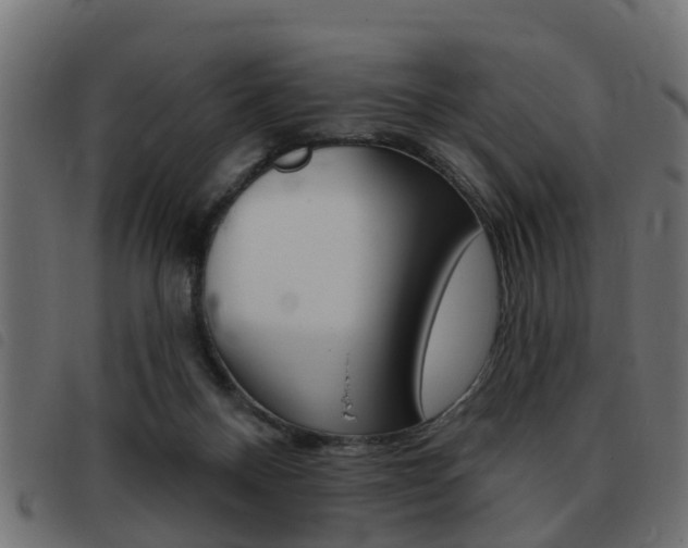 X0000093420120200710120905