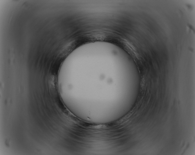 X0000093420122200710120905