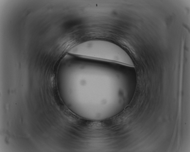 X0000093420123200710120905