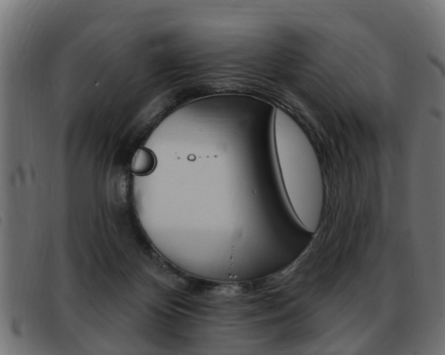 X0000093420124200710120905
