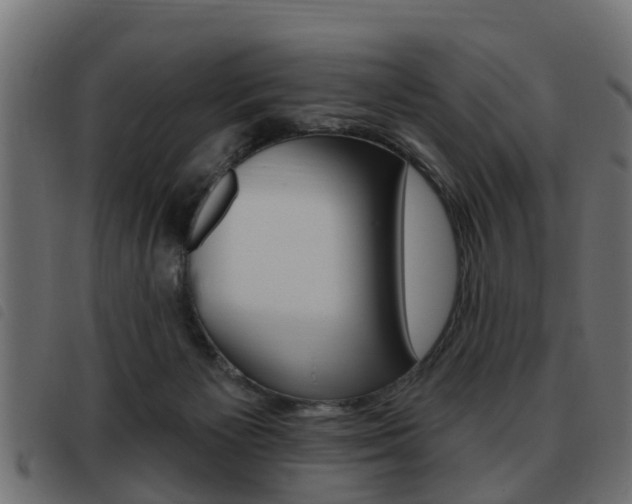 X0000093420125200710120905