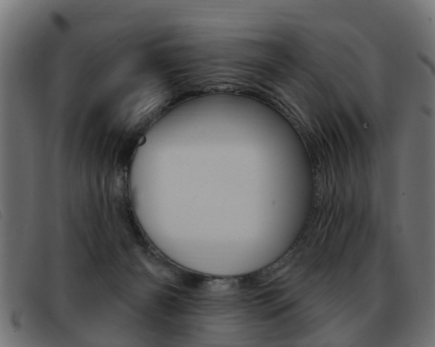 X0000093420126200710120905