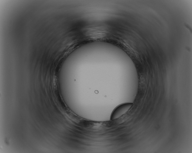 X0000093420130200710120904
