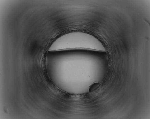 X0000093420131200710120904