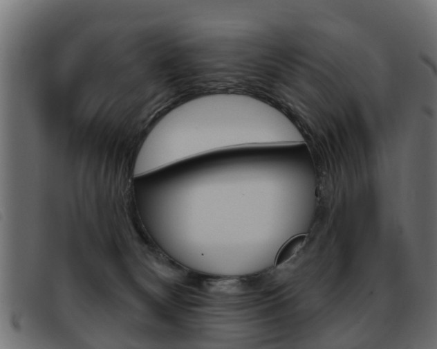 X0000093420132200710120904