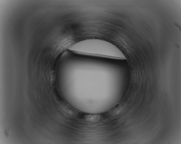 X0000093420135200710120904