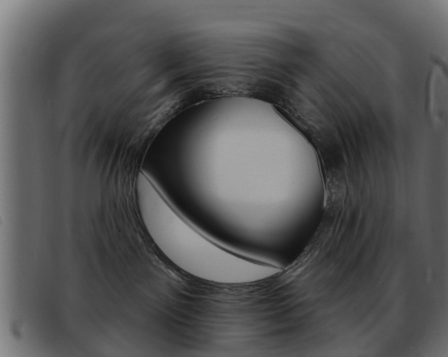 X0000093420141200710120904