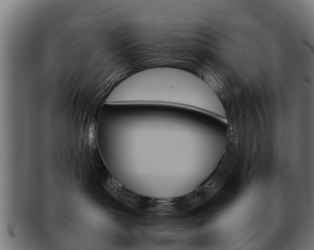 X0000093420143200710120904