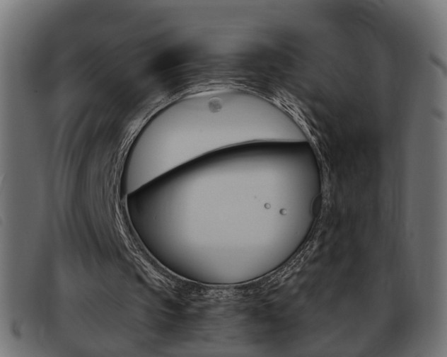 X0000093420145200710120904