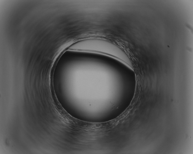 X0000093420148200710120904