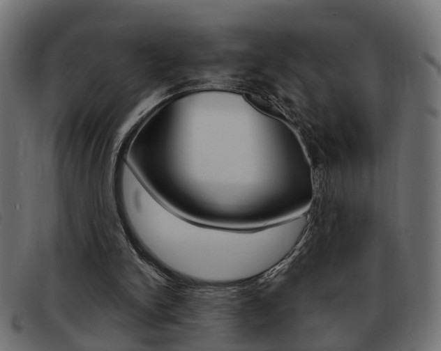 X0000093420150200710120904