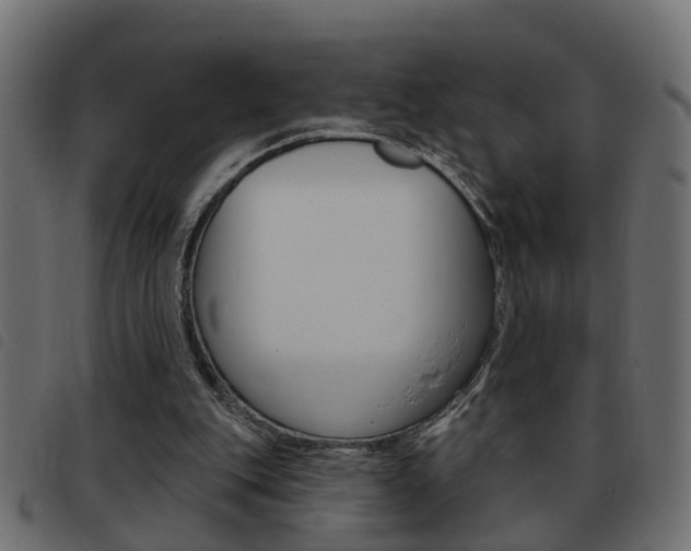 X0000093420151200710120904