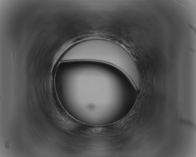 X0000093420152200710120904