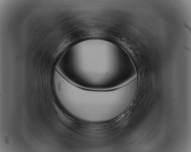 X0000093420154200710120904
