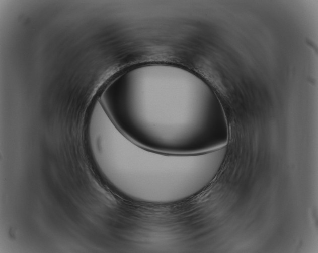 X0000093420156200710120904