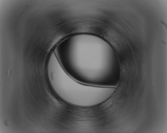 X0000093420160200710120904