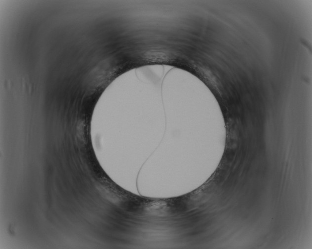 X0000093420162200710120904