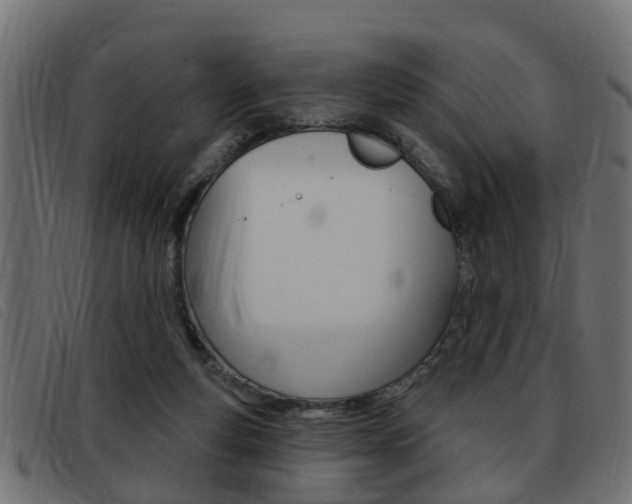 X0000093420163200710120904