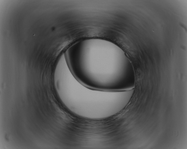 X0000093420164200710120904
