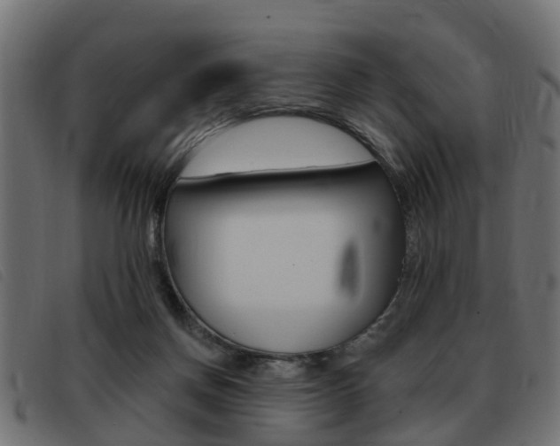 X0000093420166200710120904
