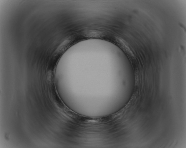 X0000093420167200710120904